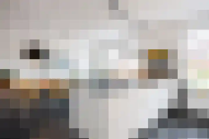 Sien Jensemalaan 29 Winsum thumbnail 18