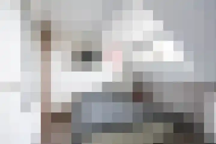 Sien Jensemalaan 29 Winsum thumbnail 36