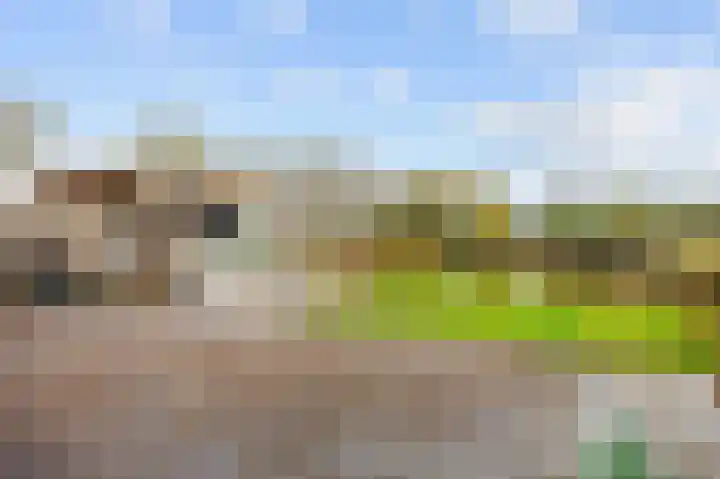 Sien Jensemalaan 29 Winsum thumbnail 38