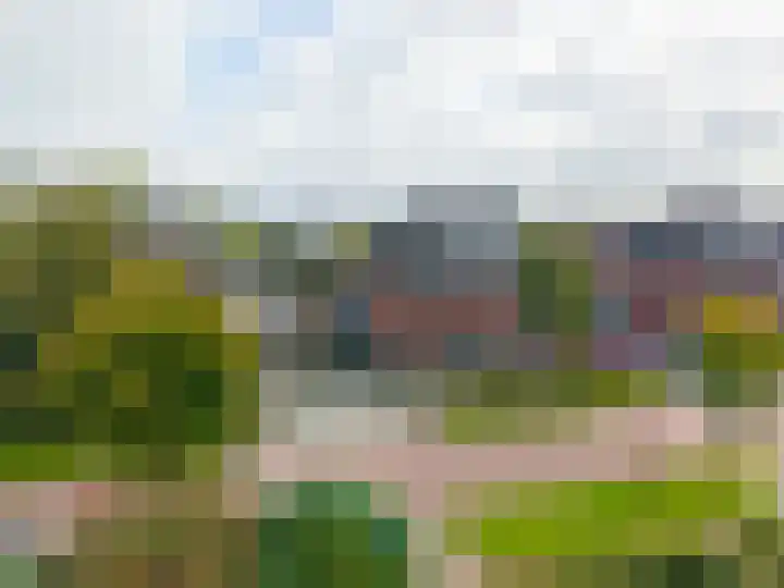 Sien Jensemalaan 29 Winsum thumbnail 4