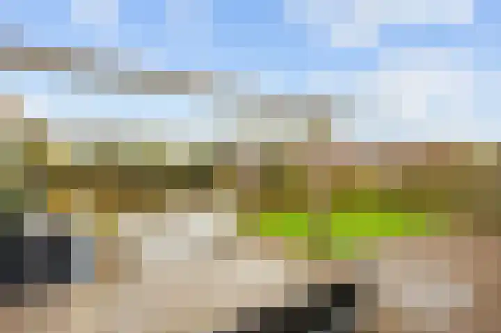 Sien Jensemalaan 29 Winsum thumbnail 40