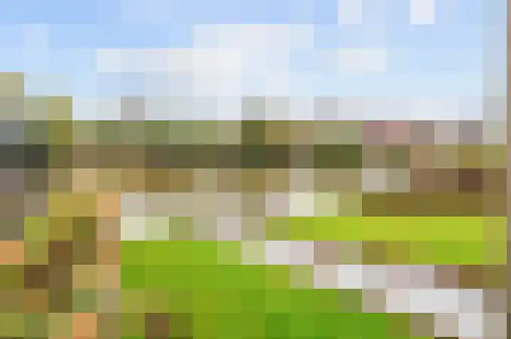 Sien Jensemalaan 29 Winsum thumbnail 41