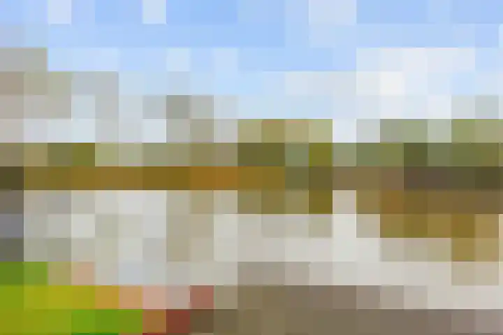 Sien Jensemalaan 29 Winsum thumbnail 42
