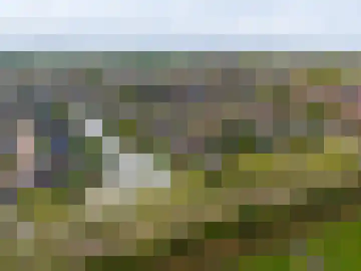 Sien Jensemalaan 29 Winsum thumbnail 50