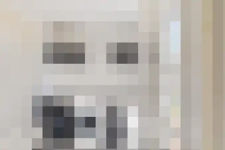 Sien Jensemalaan 33 Winsum thumbnail 13