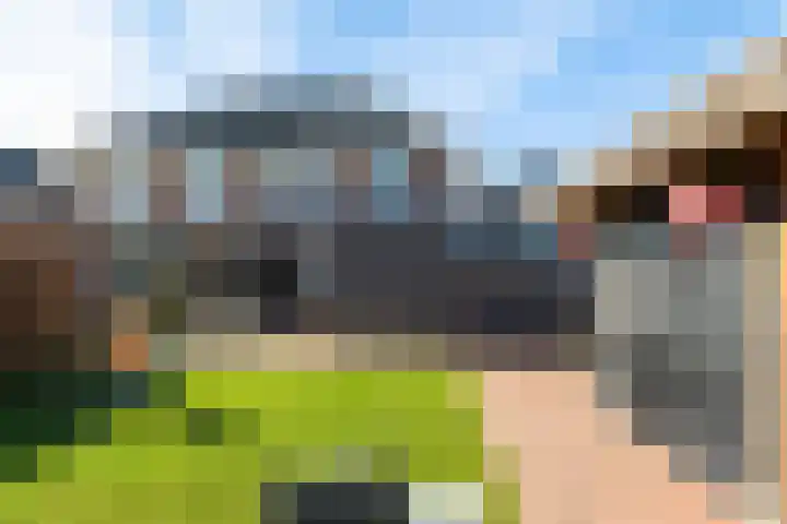 Sien Jensemalaan 33 Winsum thumbnail 16