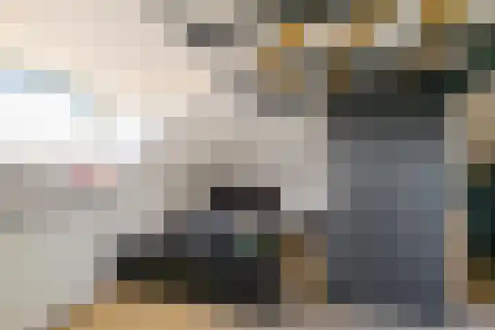 Sien Jensemalaan 33 Winsum thumbnail 35