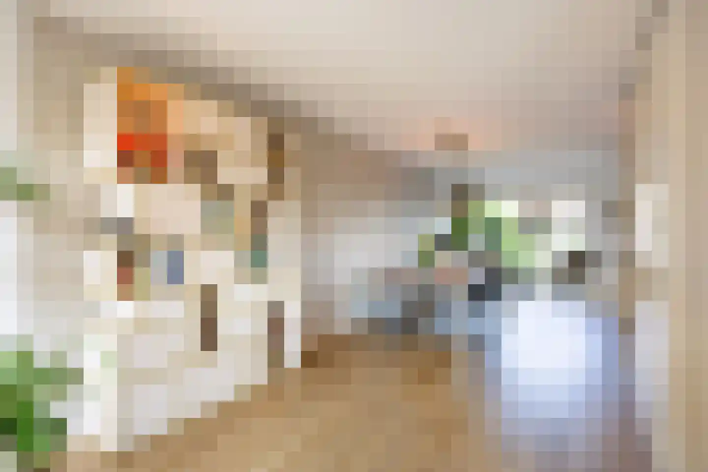 Sien Jensemalaan 43 Winsum thumbnail 11