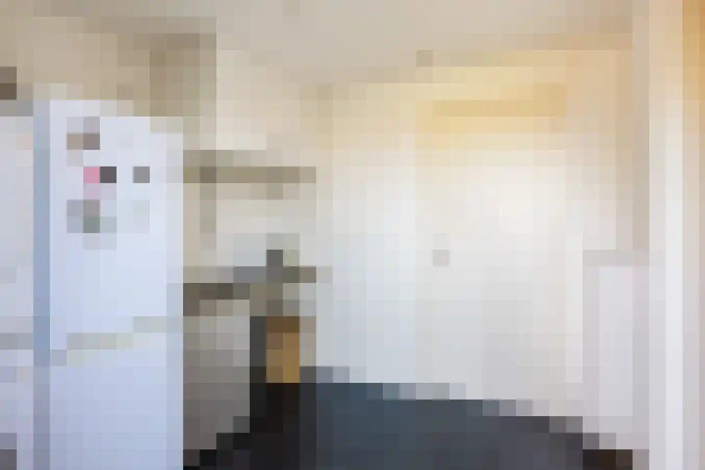 Sien Jensemalaan 43 Winsum thumbnail 22