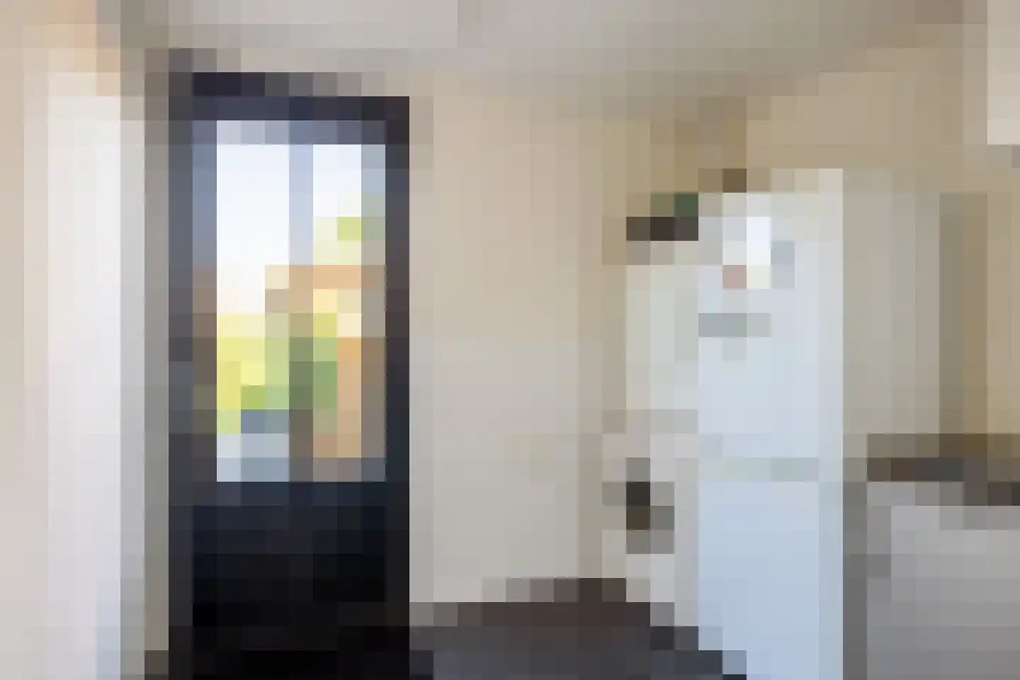 Sien Jensemalaan 43 Winsum thumbnail 23