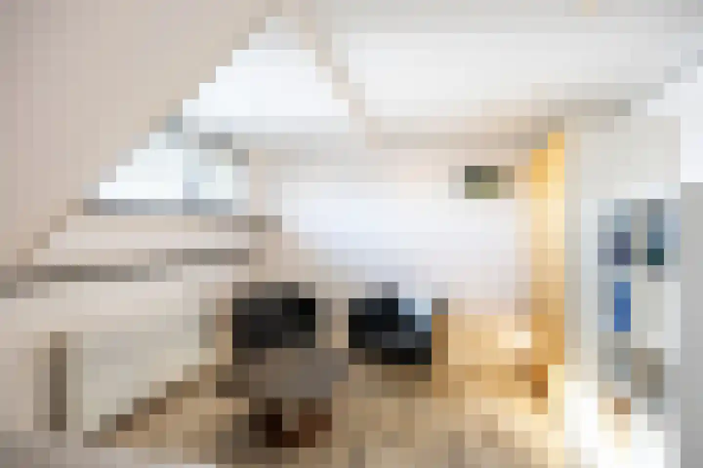 Sien Jensemalaan 43 Winsum thumbnail 39