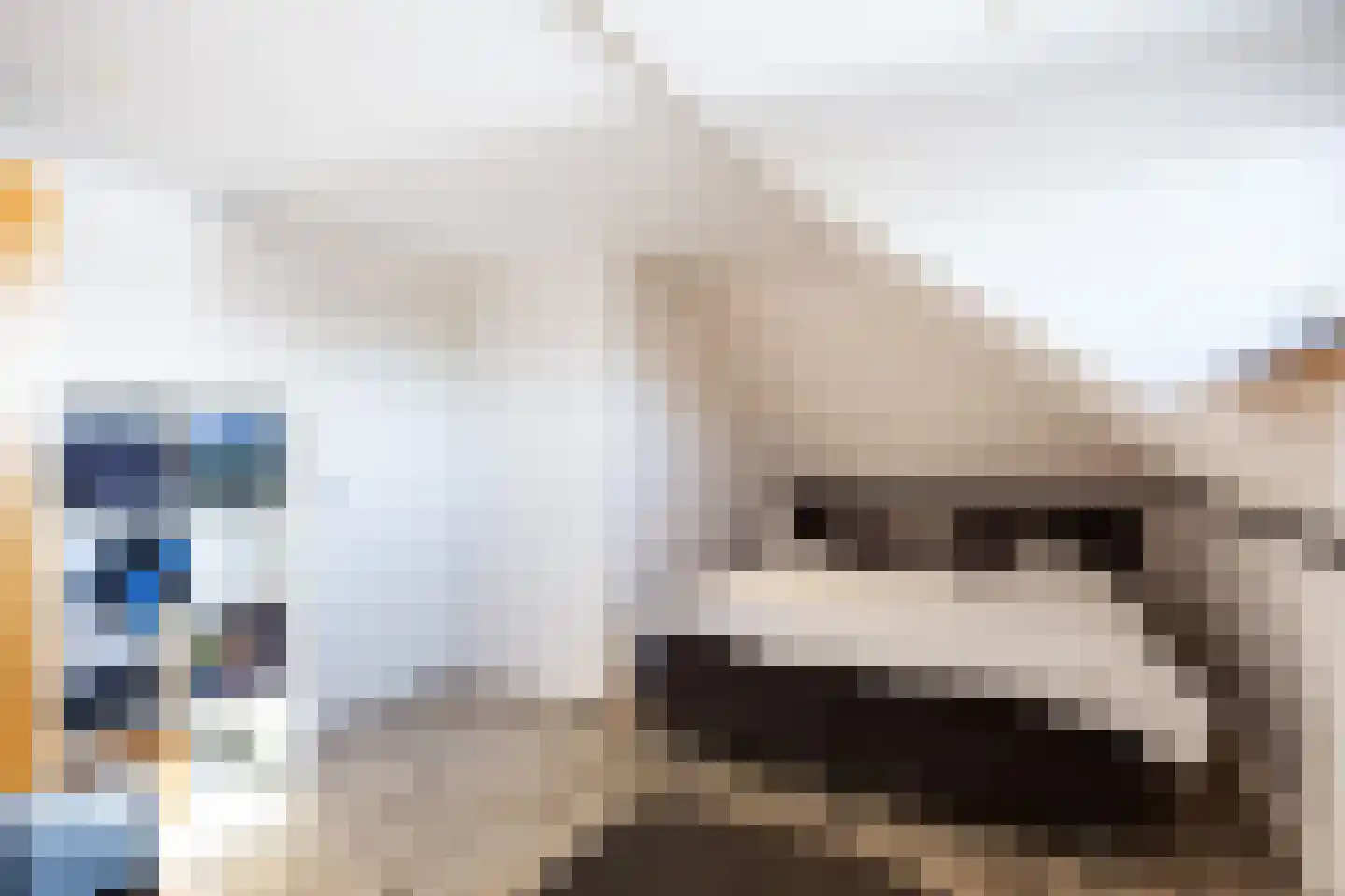 Sien Jensemalaan 43 Winsum thumbnail 40