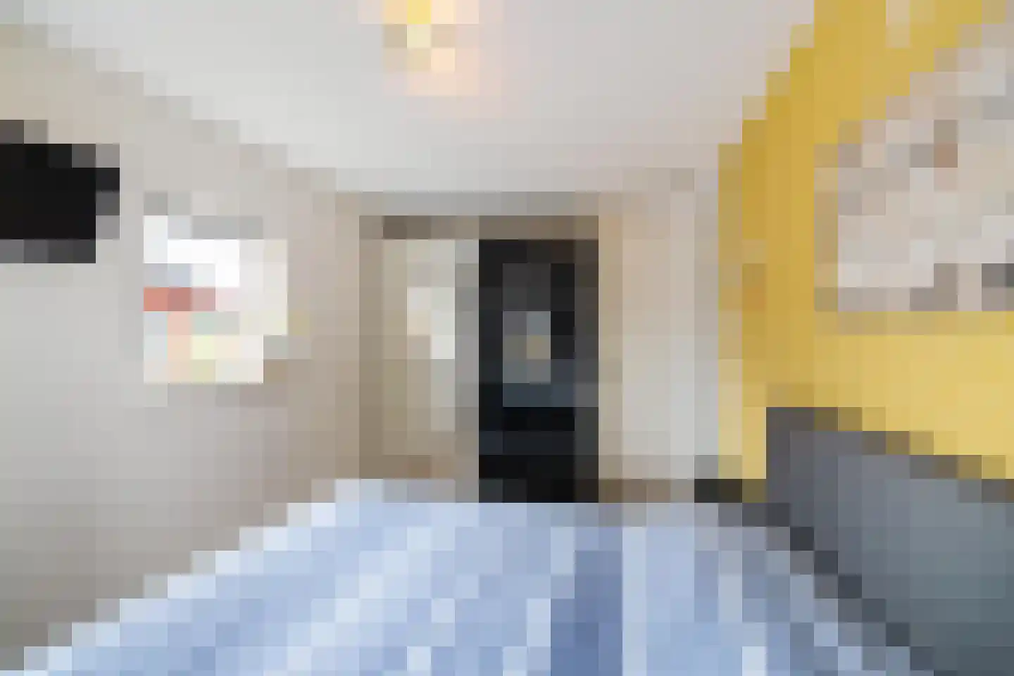 Sien Jensemalaan 46 Winsum thumbnail 32