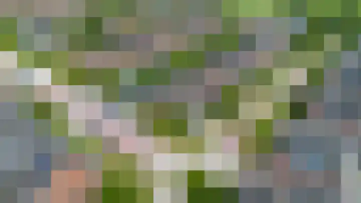 Sien Jensemalaan 54 Winsum thumbnail 4