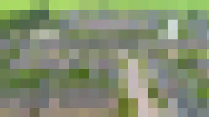 Sien Jensemalaan 54 Winsum thumbnail 5
