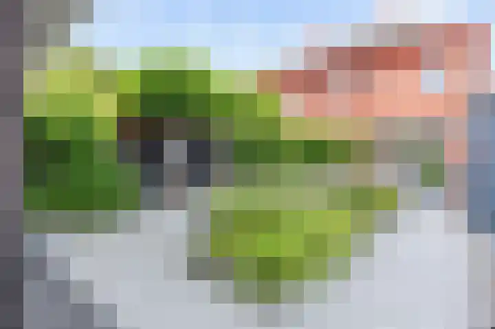 Sien Jensemalaan 54 Winsum thumbnail 56