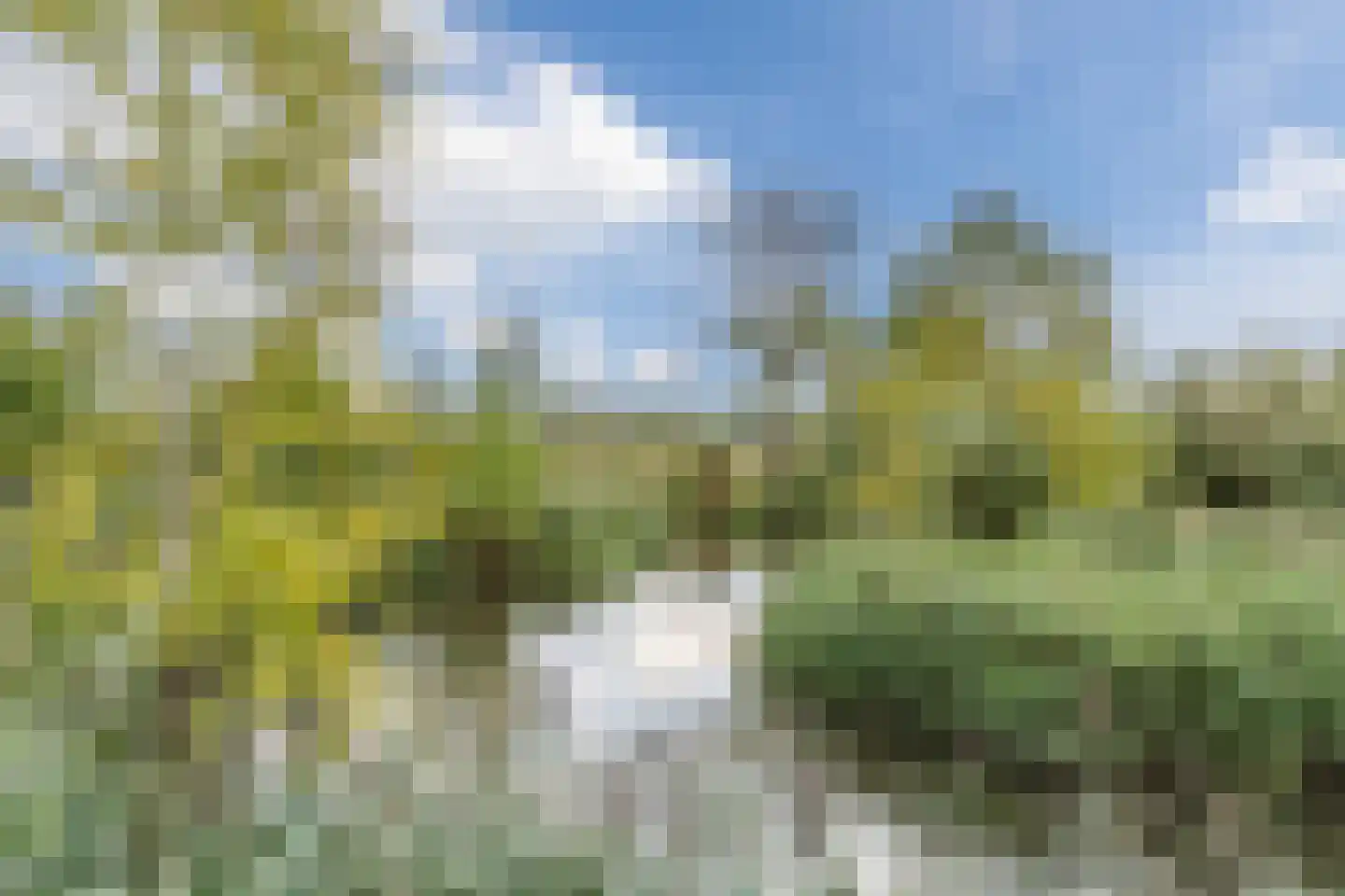Siënalaan 14 Eindhoven thumbnail 57