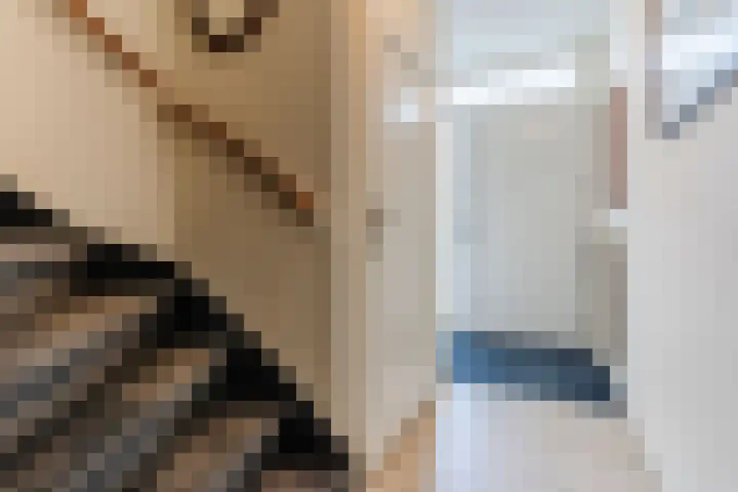 Siënalaan 14 Eindhoven thumbnail 7