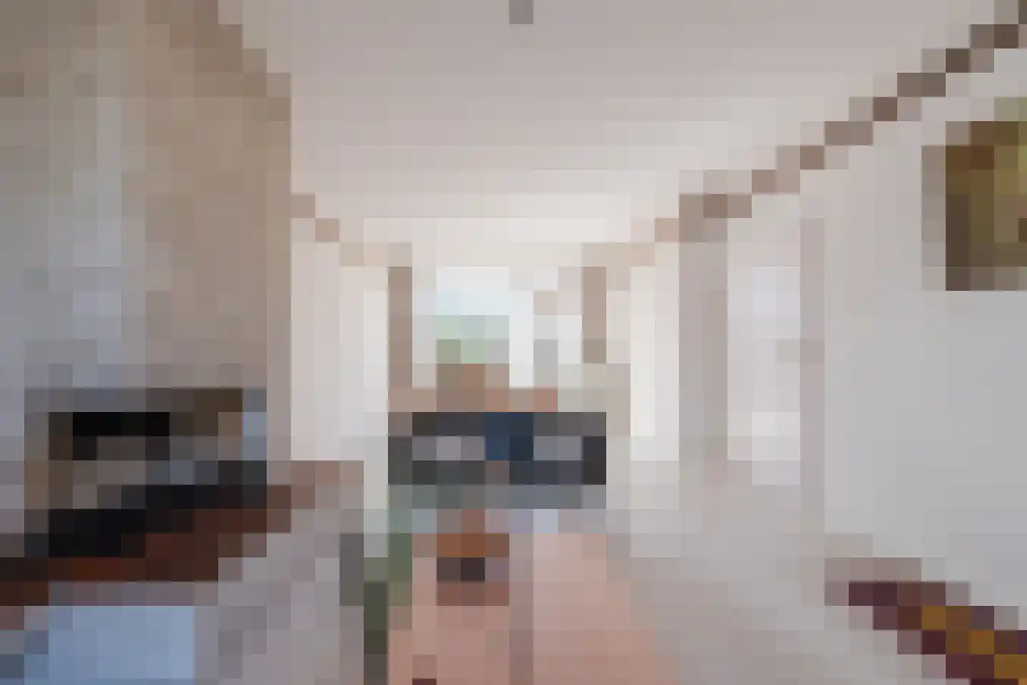 Siënalaan 29 Eindhoven thumbnail 8
