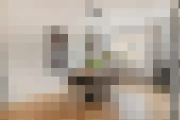 Siënalaan 30 Eindhoven thumbnail 11