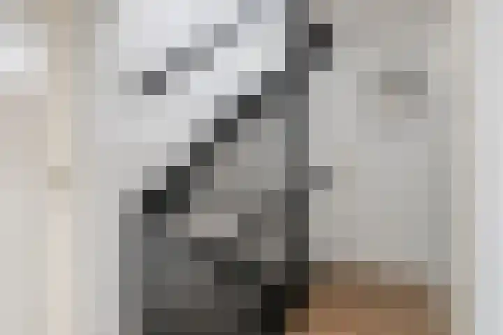 Siënalaan 30 Eindhoven thumbnail 17