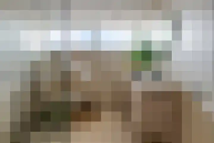 Siënalaan 30 Eindhoven thumbnail 18