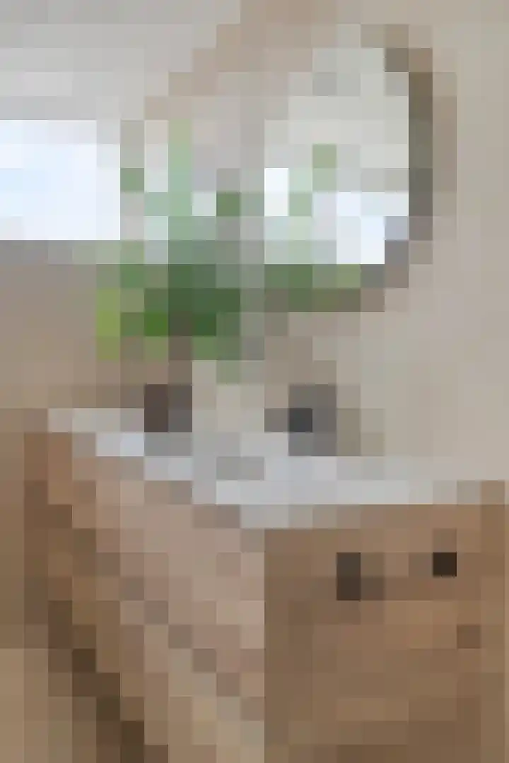 Siënalaan 30 Eindhoven thumbnail 19