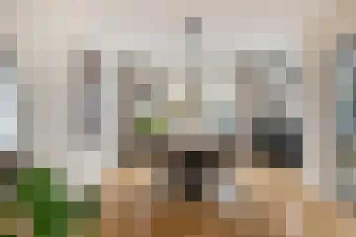 Siënalaan 30 Eindhoven thumbnail 8