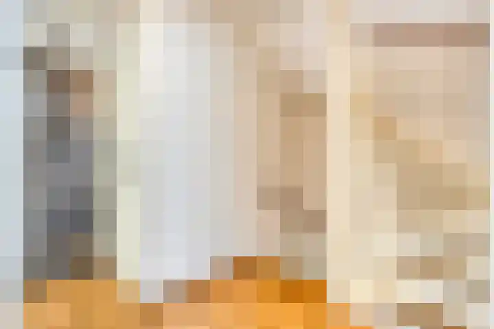 Siënalaan 5 Eindhoven thumbnail 20
