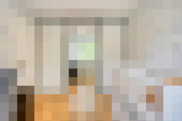 Siënalaan 5 Eindhoven thumbnail 26