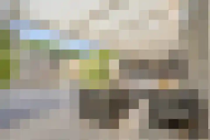 Siënalaan 5 Eindhoven thumbnail 4