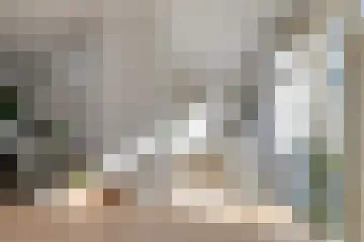 Siënalaan 53 Eindhoven thumbnail 11