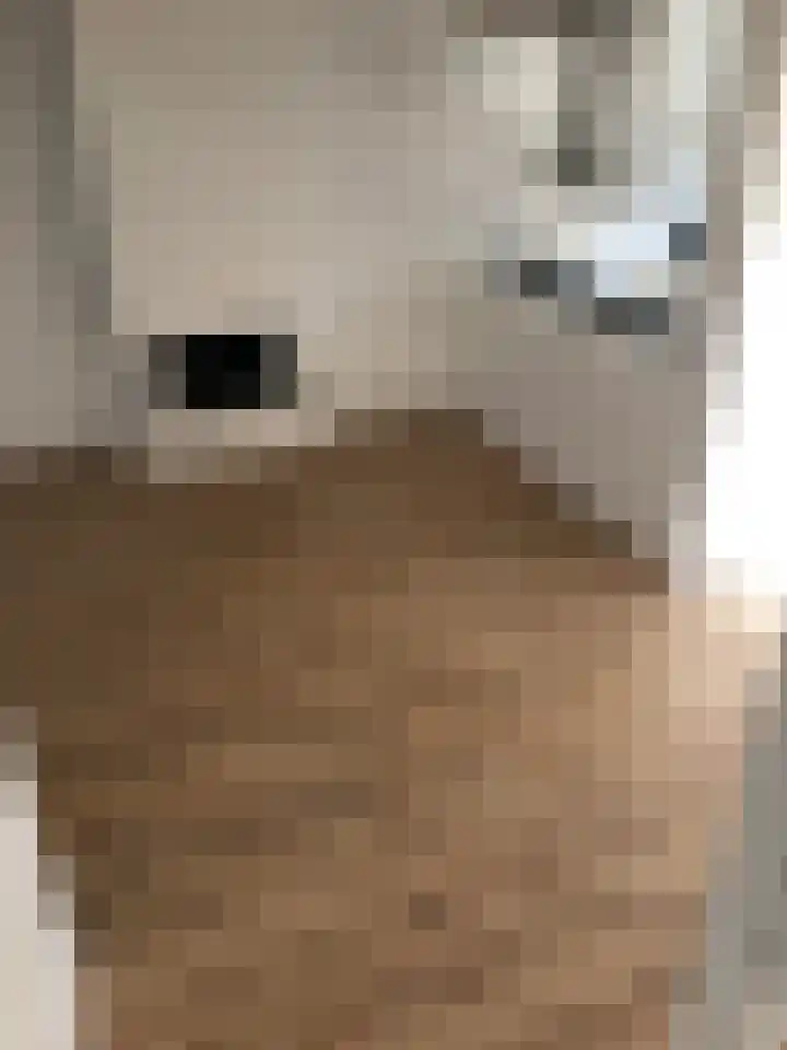 Siënalaan 53 Eindhoven thumbnail 14