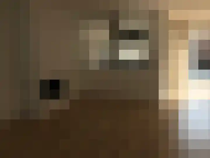 Siënalaan 53 Eindhoven thumbnail 15