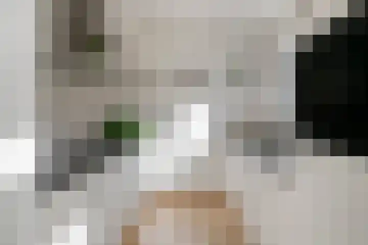 Siënalaan 53 Eindhoven thumbnail 17