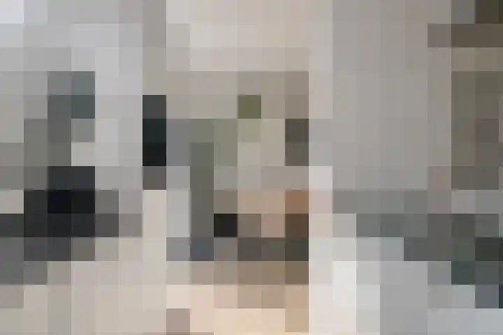 Siënalaan 53 Eindhoven thumbnail 18