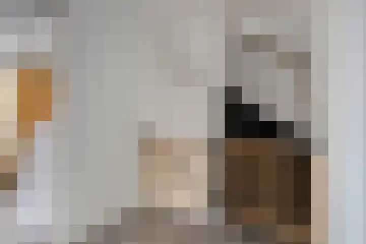 Siënalaan 53 Eindhoven thumbnail 21
