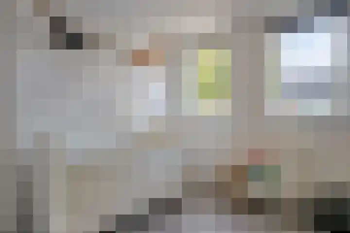 Siënalaan 53 Eindhoven thumbnail 26