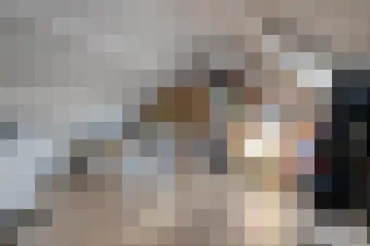 Siënalaan 53 Eindhoven thumbnail 31