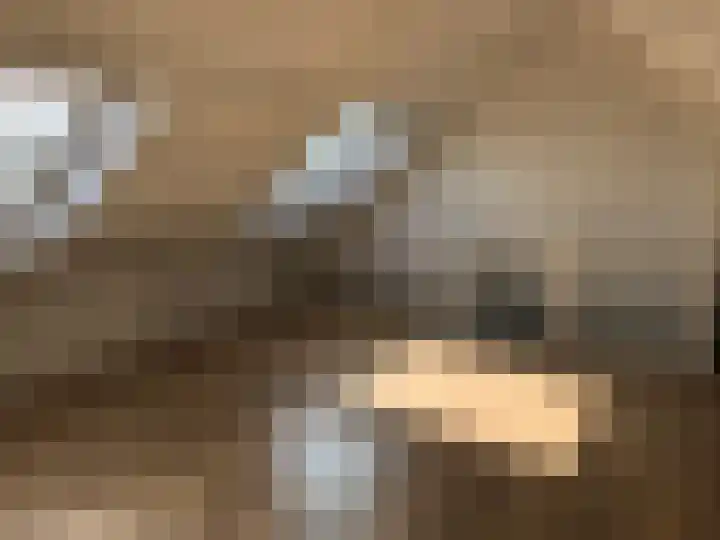 Siënalaan 53 Eindhoven thumbnail 34