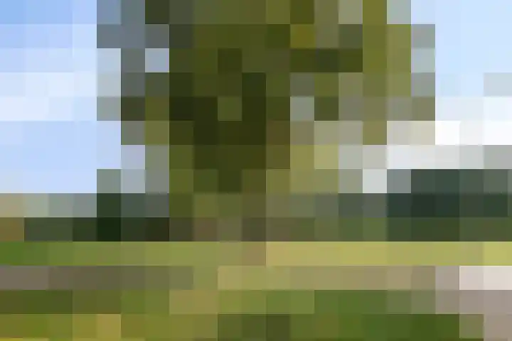 Siënalaan 53 Eindhoven thumbnail 38