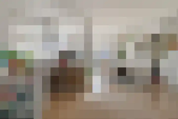 Siënalaan 53 Eindhoven thumbnail 8