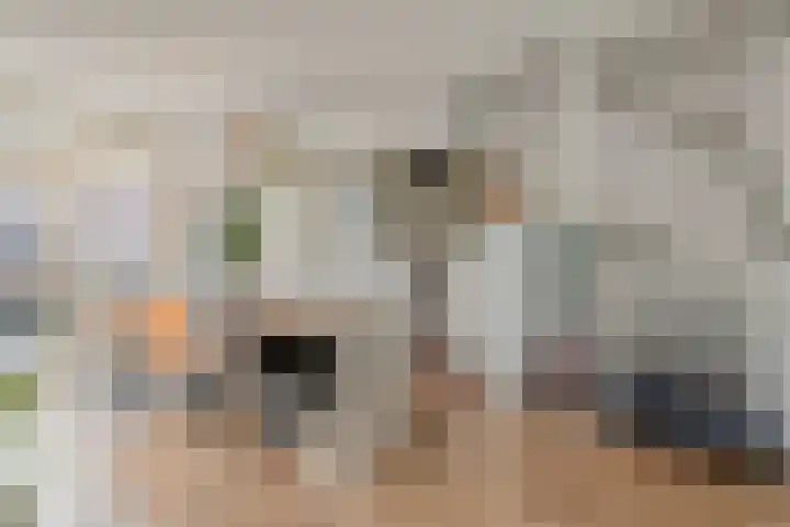 Siënalaan 53 Eindhoven thumbnail 9