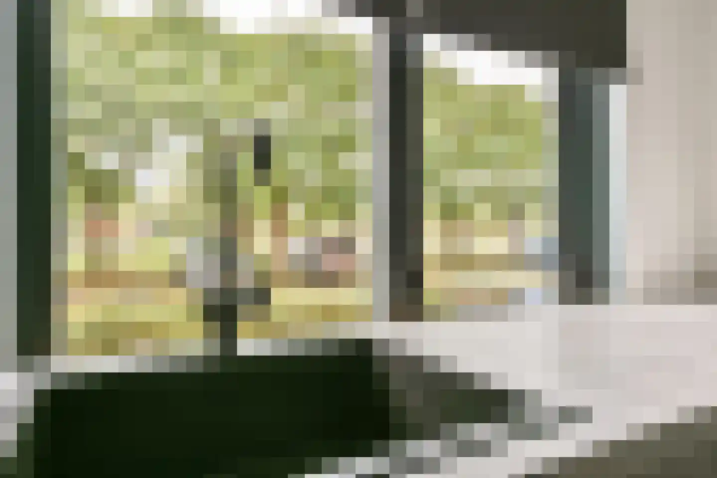 Siennastraat 213 Almere thumbnail 16