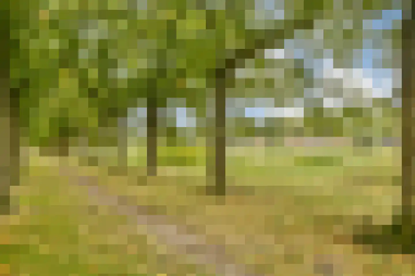 Siennastraat 213 Almere thumbnail 39