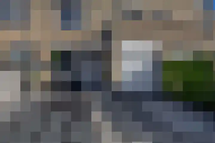 Sientje Mesdag-van Houtenstraat 107 Spijkenisse thumbnail 11