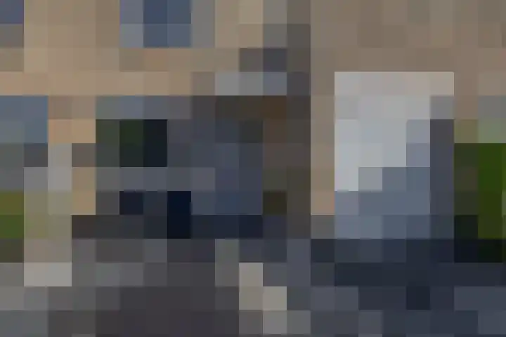Sientje Mesdag-van Houtenstraat 107 Spijkenisse thumbnail 12