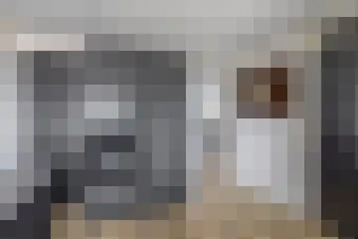 Sientje Mesdag-van Houtenstraat 107 Spijkenisse thumbnail 18