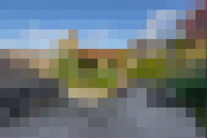 Sientje Mesdag-van Houtenstraat 107 Spijkenisse thumbnail 26