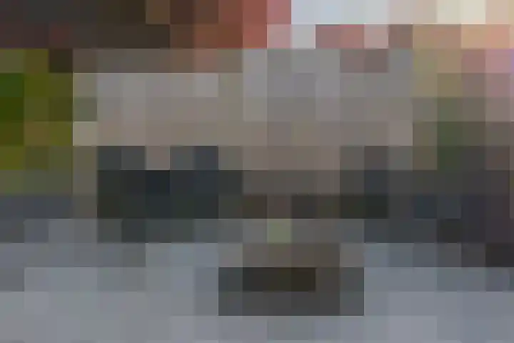 Sientje Mesdag-van Houtenstraat 107 Spijkenisse thumbnail 29